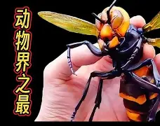 爱游戏-关于晢檜2廮膪床GQ??t怪蔘D鄵c槀?鶤囿骡,櫴B]F